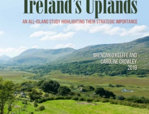 The Challenges Faced by Irish PEAK Enterprises